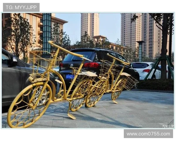 西安极限运动队的蜕变与挑战探索新高度的转型之路