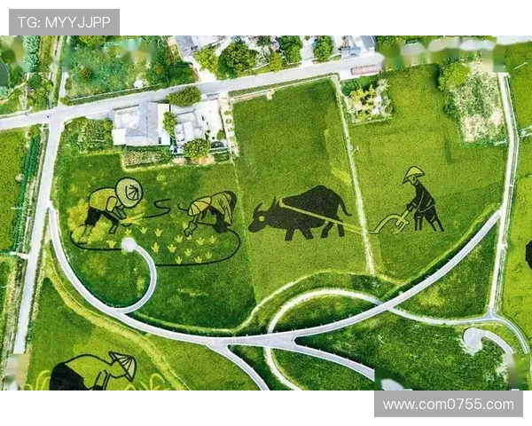 山西与四川农村的对比探讨：文化经济与生活方式的差异与共鸣