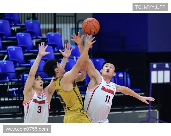 南京篮球队在篮球节奏排行榜中荣获第五名展现出强劲实力与潜力